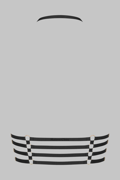 Harness - Chambre Noire