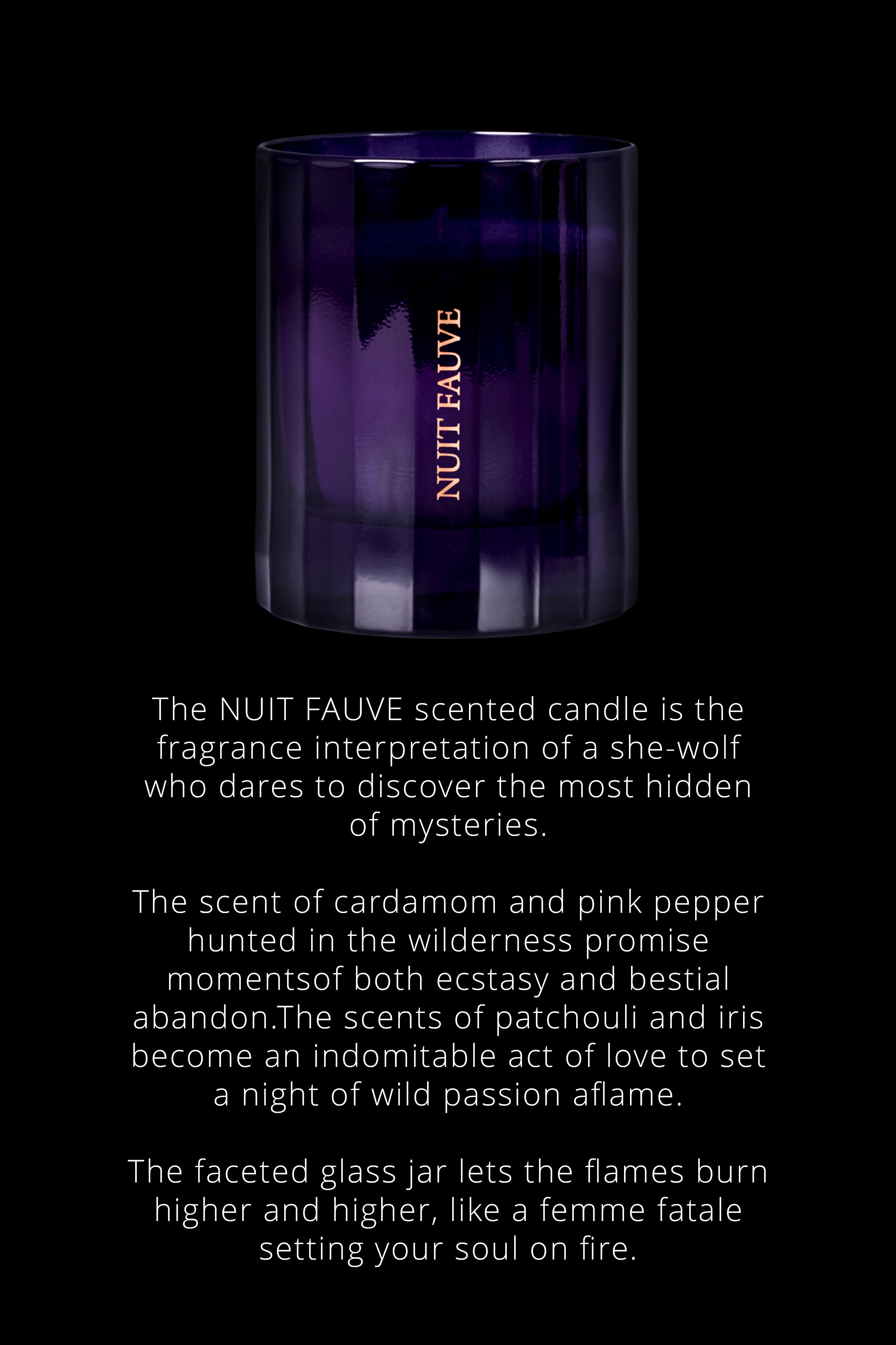 Candle Nuit Fauve - Chypre notes